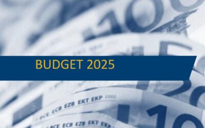 WENTWORTH Budget 2025 Summary